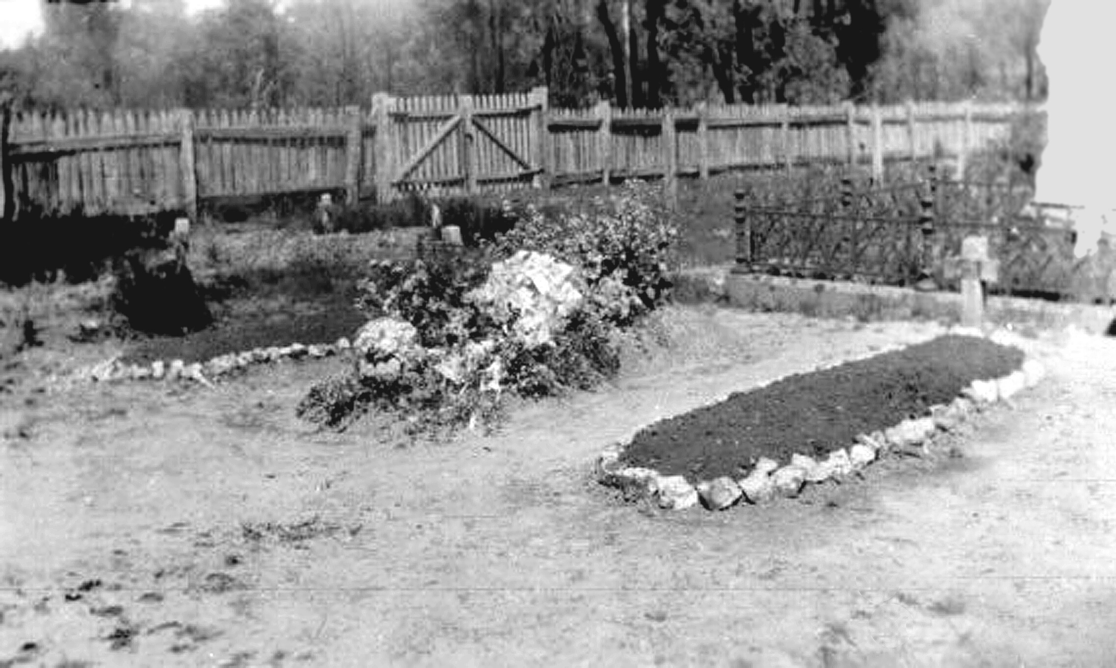 Whroo Cemetery - Paling fence of 1862, seen here circa 1920